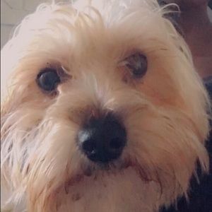 Meet your Posher, Edell